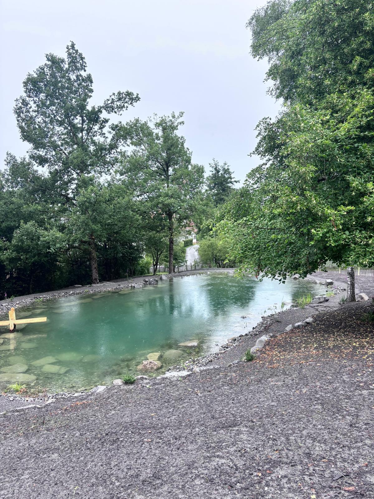 Naturteich mit Bäumen